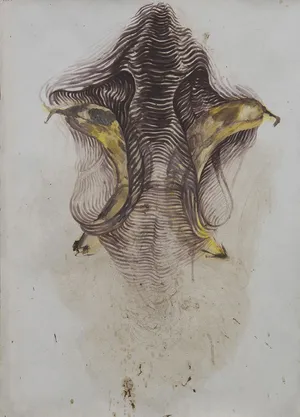 Vanitas, 2012, gwasz na papierze, 70x50cm